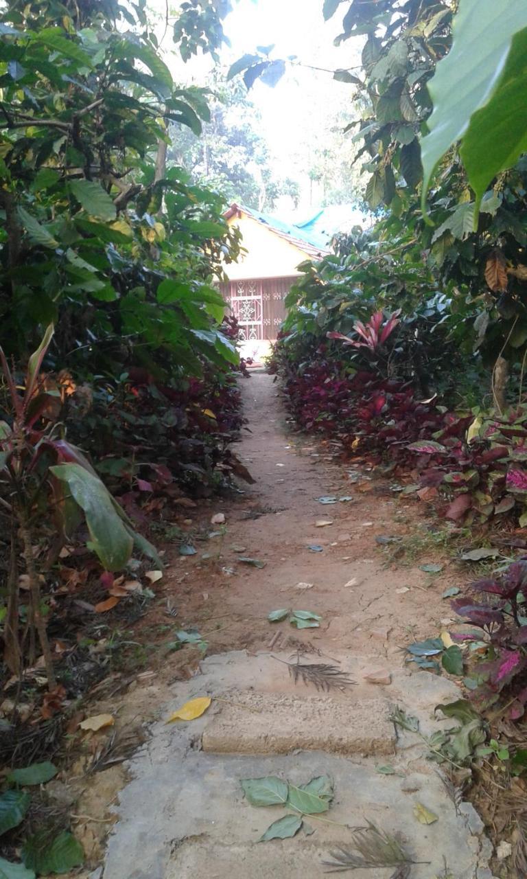 Dreams Home Estate Stay Suntikoppa Exterior foto